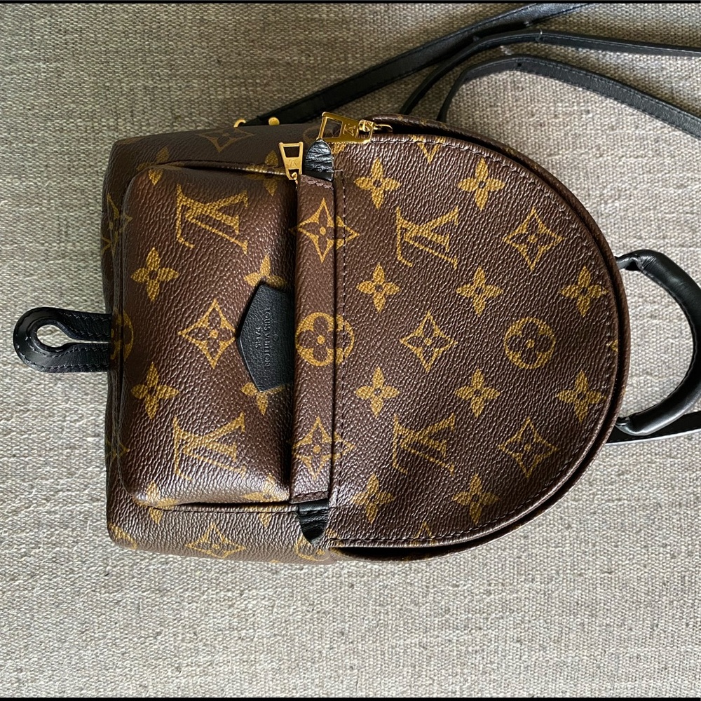 Louis Vuitton Palm Springs Mini